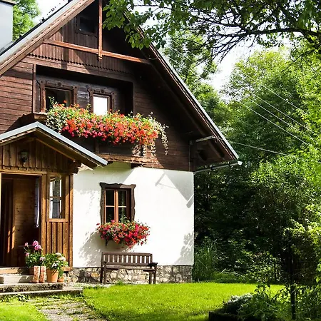 Ferienhaus Brandl