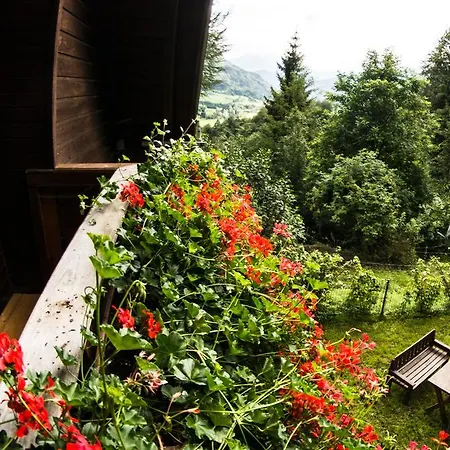 Apartamento Ferienhaus Brandl *
